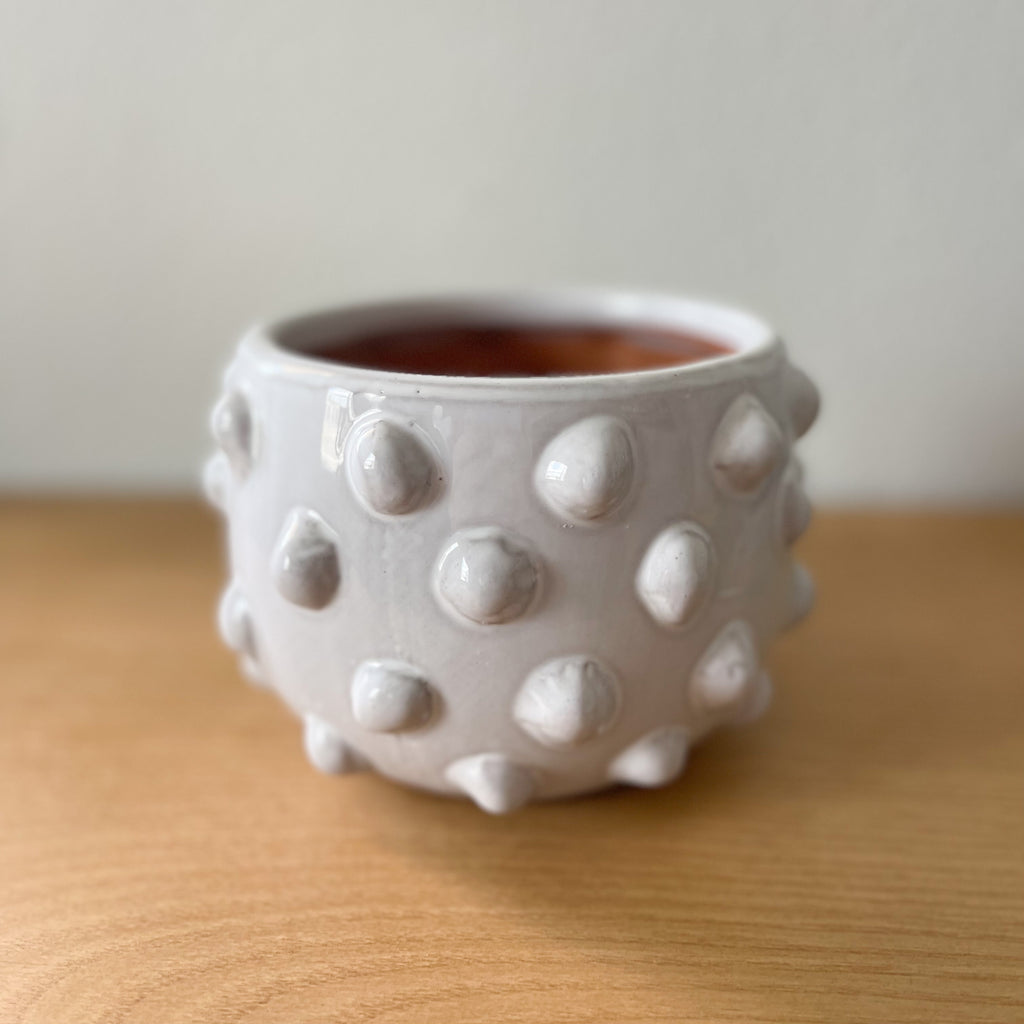 White Polka Dot Planter